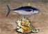 Play new Ocean Survivor addicting game