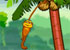 Play new Spider Monkey addicting game